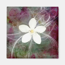 Nuevo 5 imán cuadrado grande