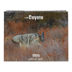 ¡Nuevo! Calendario 'Soy Coyote' 2026