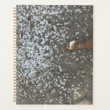 Nuevo comienzo y primer paso planificador