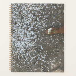 Nuevo comienzo y primer paso planificador