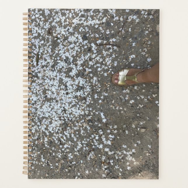 Nuevo comienzo y primer paso planificador (Anverso)