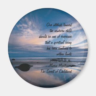 Nuevo conjunto de imanes primarios 4 de 5