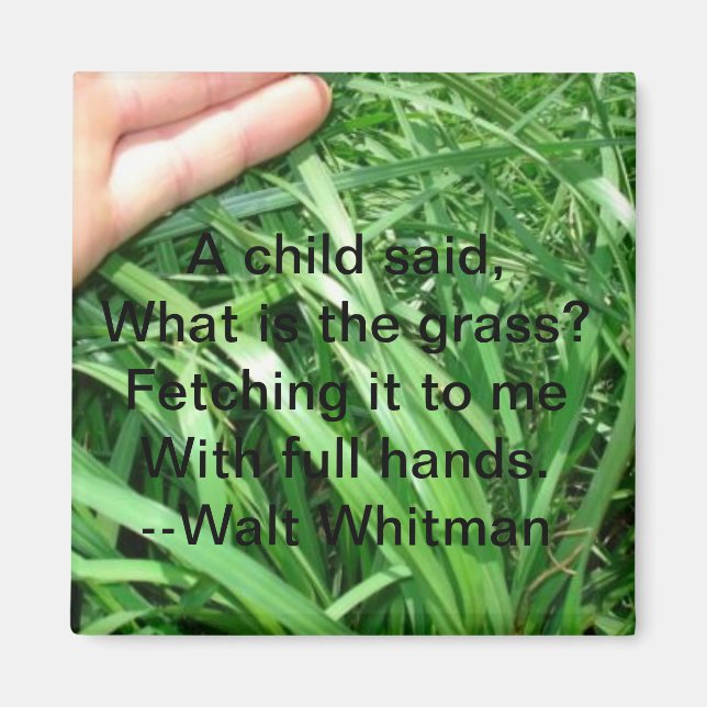 Nuevo conjunto de imanes primarios 5 de 5 (Frente)