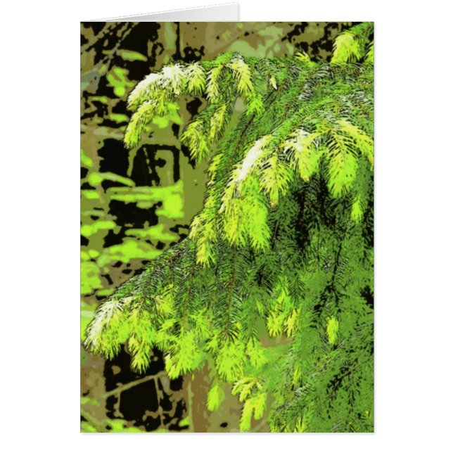 Nuevo crecimiento (Frente)