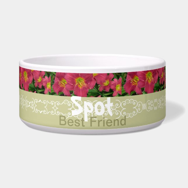 Nuevo Daylily P.M. del plato del mascota de los (Frente)