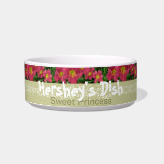 Nuevo Daylily P.M. Hershey del plato del mascota