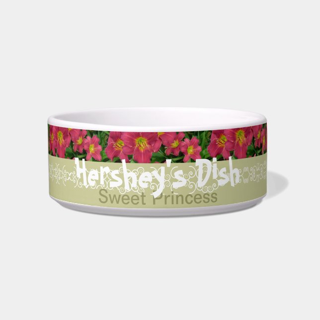 Nuevo Daylily P.M. Hershey del plato del mascota (Frente)