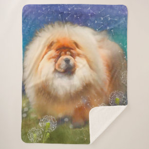 Nuevo enlace a la gran manta de Nava