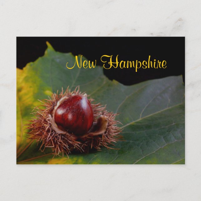 Nuevo Hampshire, Hoja de Otoño Con Postales Nut (Anverso)
