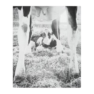 Nuevo Holstein Calf Impresión Metalizado