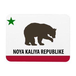 Nuevo imán de la bandera de la república de