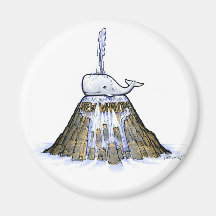 Nuevo imán de la fuente de la ballena
