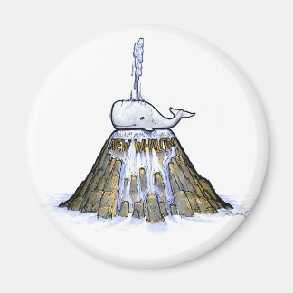 Nuevo imán de la fuente de la ballena