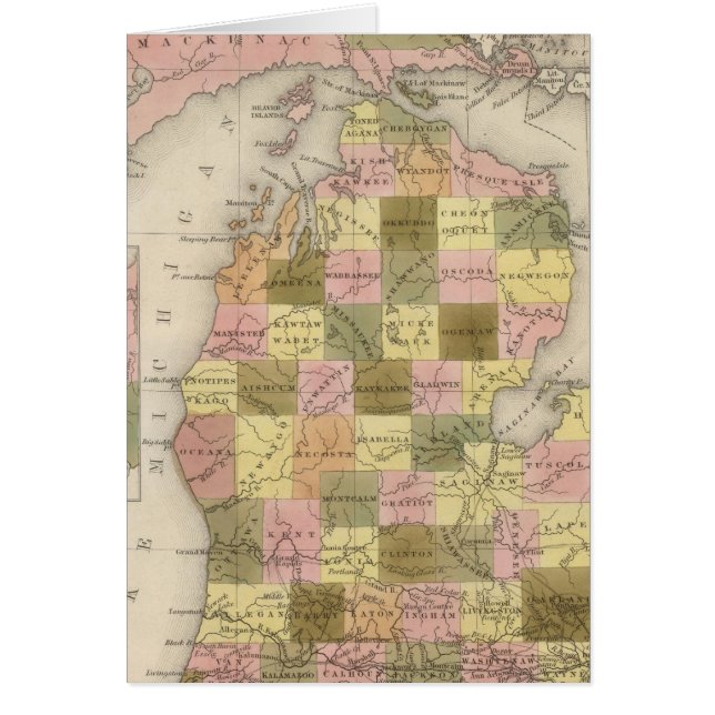 Nuevo Mapa De Michigan (Frente)