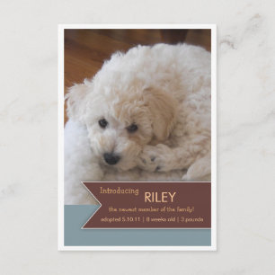 Nuevo Mascota 2 Foto Invitación de pancarta marrón