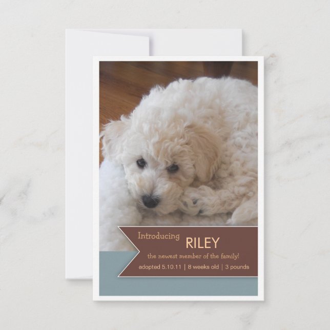 Nuevo Mascota 2 Foto Invitación de pancarta marrón (Anverso)