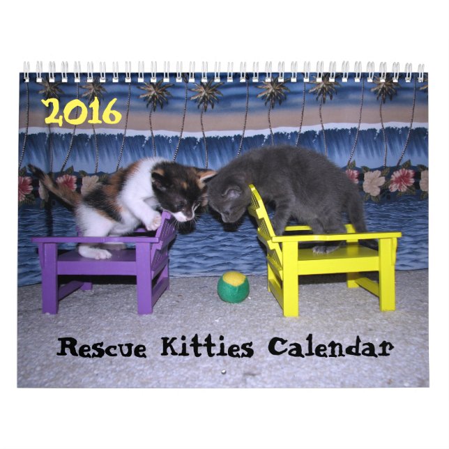 *****NUEVO para 2016!! **** Calendario de Rescate  (Tapa)