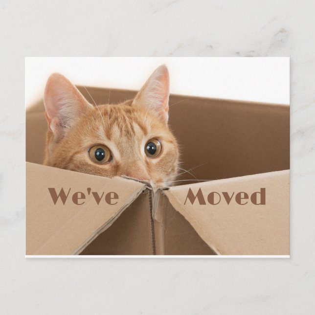 Nuevo recordatorio de dirección, nueva postal de c (Anverso)