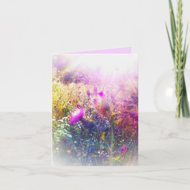 NUEVO SOL EN ESTA PEQUEÑA TARJETA DE RECIBIMIENTO (Anverso)