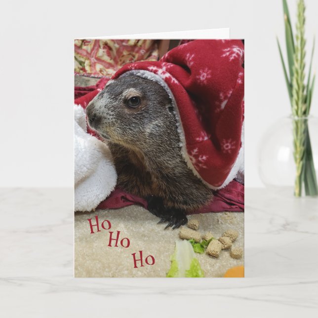 ¡¡¡NUEVO!! Tarjeta B de Navidades Groundhog (Anverso)