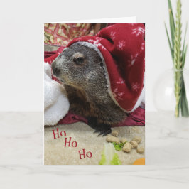 ¡¡¡NUEVO!! Tarjeta B de Navidades Groundhog