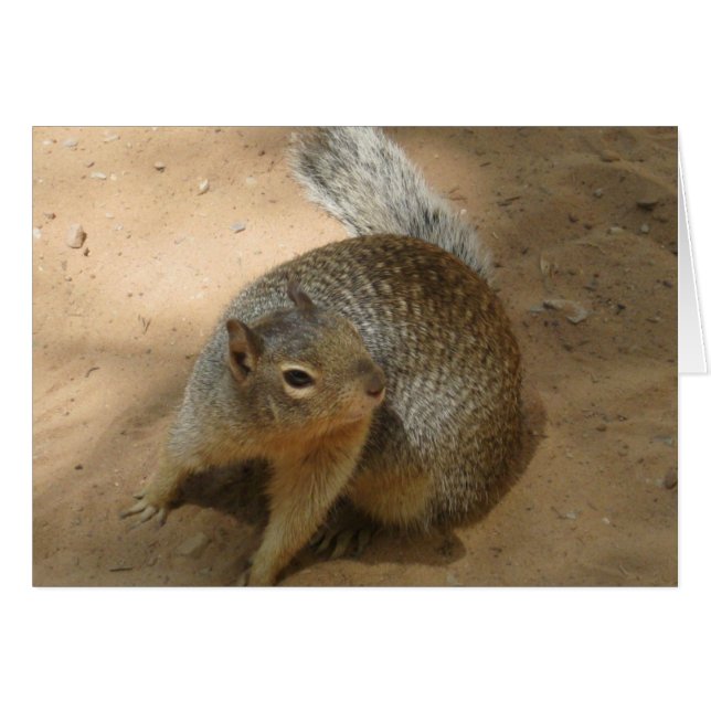 ~Nuevo Zion FuZzY GuY~ (Anverso (Horizontal))