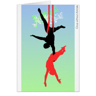 Nuevos acróbatas de circo