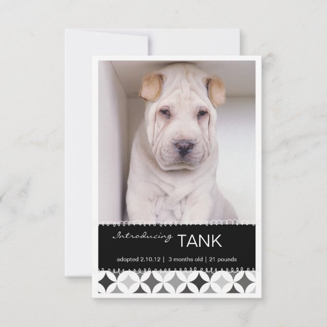 Nuevos Mascotas Retro Circles Invitación de fotos  (Anverso)