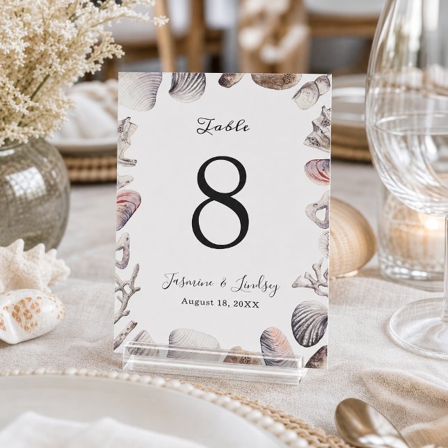 Número de mesa de boda de coral de concha marina b (Subido por el creador)
