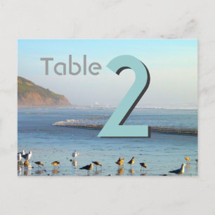 Número de tarjeta de tabla de gaviotas de mar