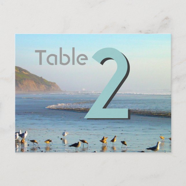 Número de tarjeta de tabla de gaviotas de mar (Anverso)