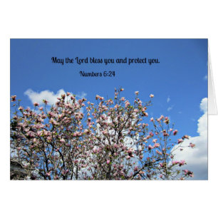 Números 6: El 24 de mayo el señor le bendice….