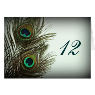Números de tabla de plumas de pavo real