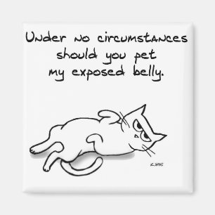 Nunca acaricie el Belly del gato - imán divertido