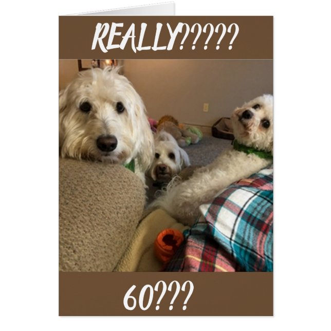 **NUNCA HUBIERAS SUPUESTO*** QUE NO PUEDAS SER *** (Frente)