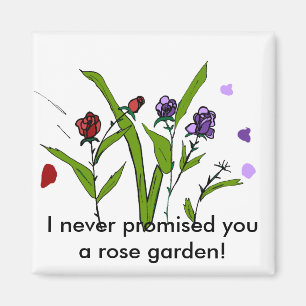 Nunca le prometí un imán de la rosaleda