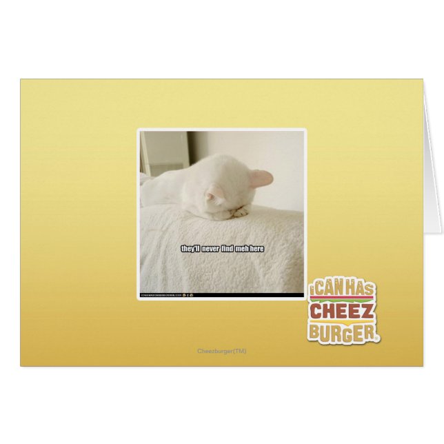 nunca me encontrarán aquí (Anverso (Horizontal))