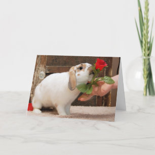 Nunca perdió la tarjeta