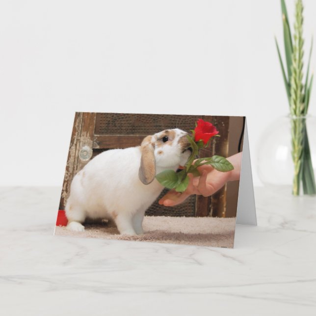 Nunca perdió la tarjeta (Anverso)