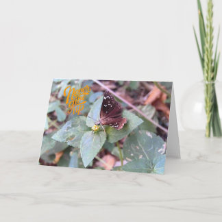 Nunca renuncies a la tarjeta de felicitación de ma