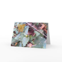 Nunca renuncies a la tarjeta de felicitación de ma