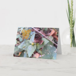 Nunca renuncies a la tarjeta de felicitación de ma