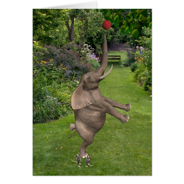 Nunca Se Rindan - Juntos Somos Fuertes (Frente)