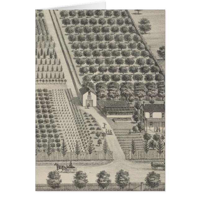 Nursera de tarjetas, Woodland (Frente)