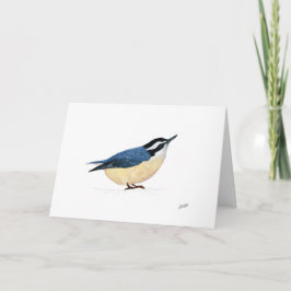 Nuthatch de pecho rojo