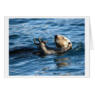 Nutria de mar
