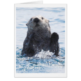 nutria de mar
