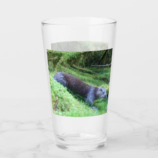 Nutria de Río Aguas Tranquilas Animales Arte Natur