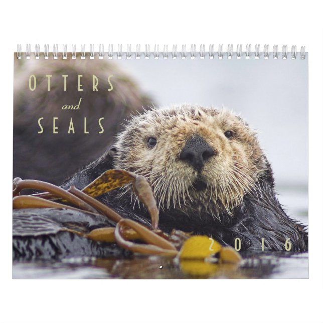 Nutrias de mar y calendario de pared de los sellos (Tapa)