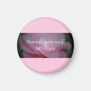 Nutrir el imán de su oficina de Soul